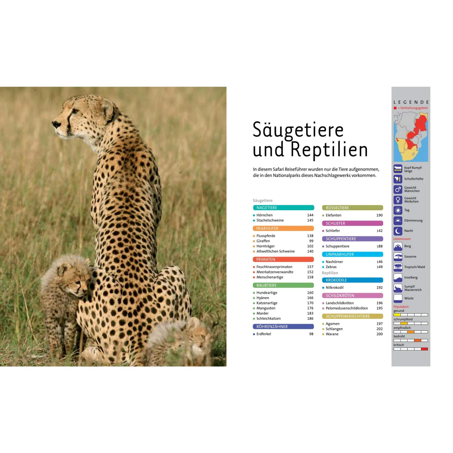 AFRIKA SAFARI REISEFÜHRER - Reiseführer 4 AFRIKA SAFARI REISEFÜHRER - Reiseführer – Bild 2