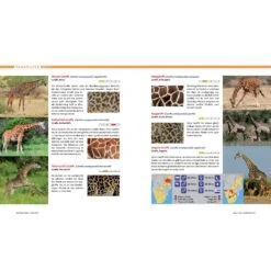 AFRIKA SAFARI REISEFÜHRER - Reiseführer 9 AFRIKA SAFARI REISEFÜHRER - Reiseführer -Sport Kleidung Welt 5637362886 c afrika safari reisefuehrer 24