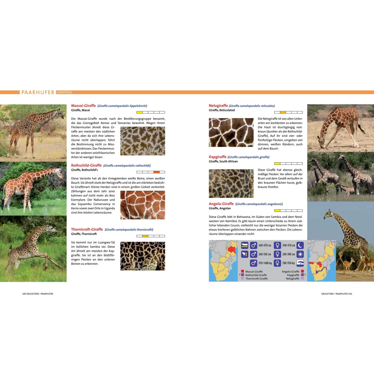 AFRIKA SAFARI REISEFÜHRER - Reiseführer 5 AFRIKA SAFARI REISEFÜHRER - Reiseführer – Bild 3