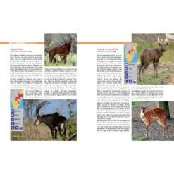 AFRIKA SAFARI REISEFÜHRER - Reiseführer 10 AFRIKA SAFARI REISEFÜHRER - Reiseführer -Sport Kleidung Welt 5637362886 d afrika safari reisefuehrer 24