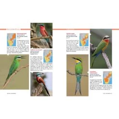 AFRIKA SAFARI REISEFÜHRER - Reiseführer 11 AFRIKA SAFARI REISEFÜHRER - Reiseführer -Sport Kleidung Welt 5637362886 e afrika safari reisefuehrer 24