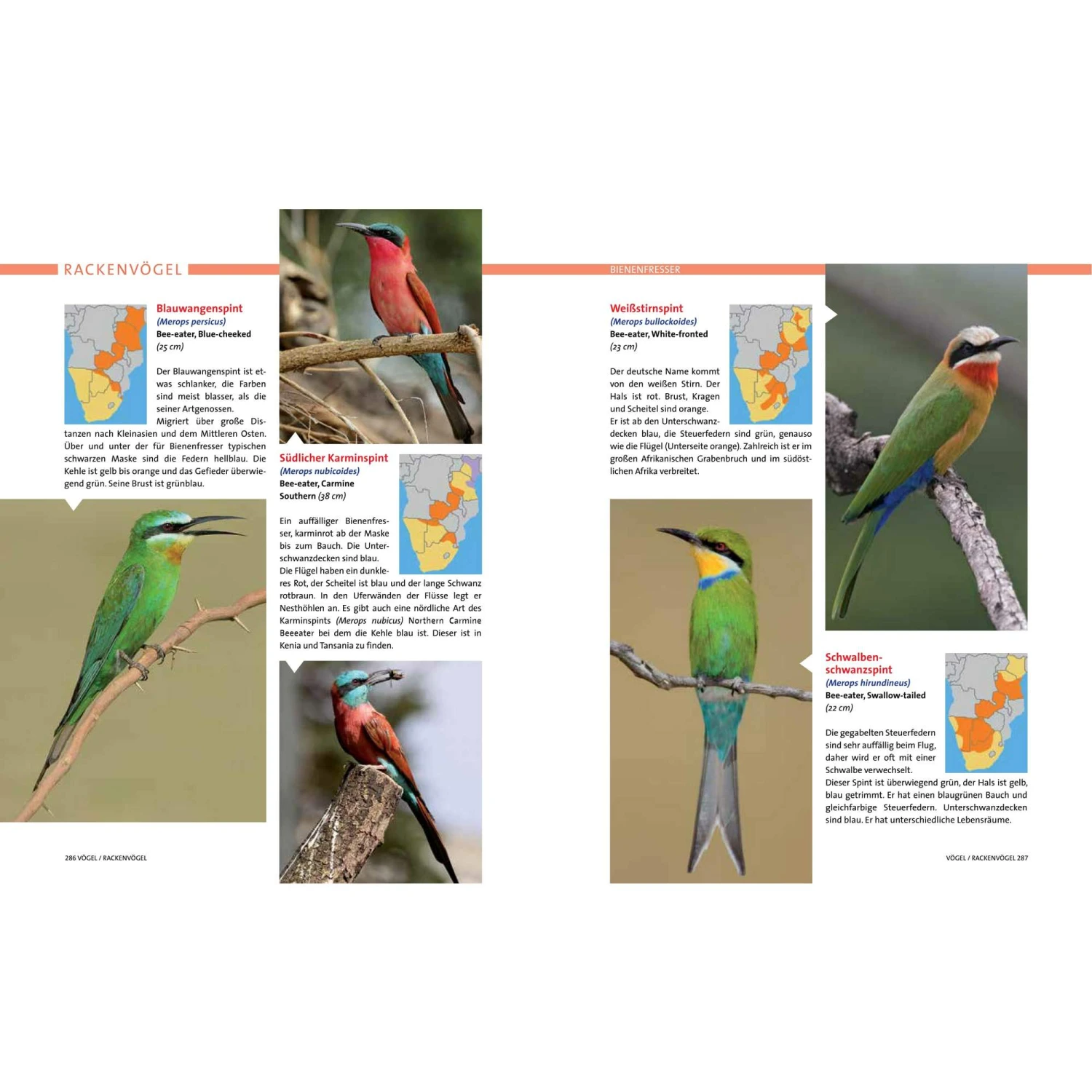 AFRIKA SAFARI REISEFÜHRER - Reiseführer 7 AFRIKA SAFARI REISEFÜHRER - Reiseführer – Bild 5