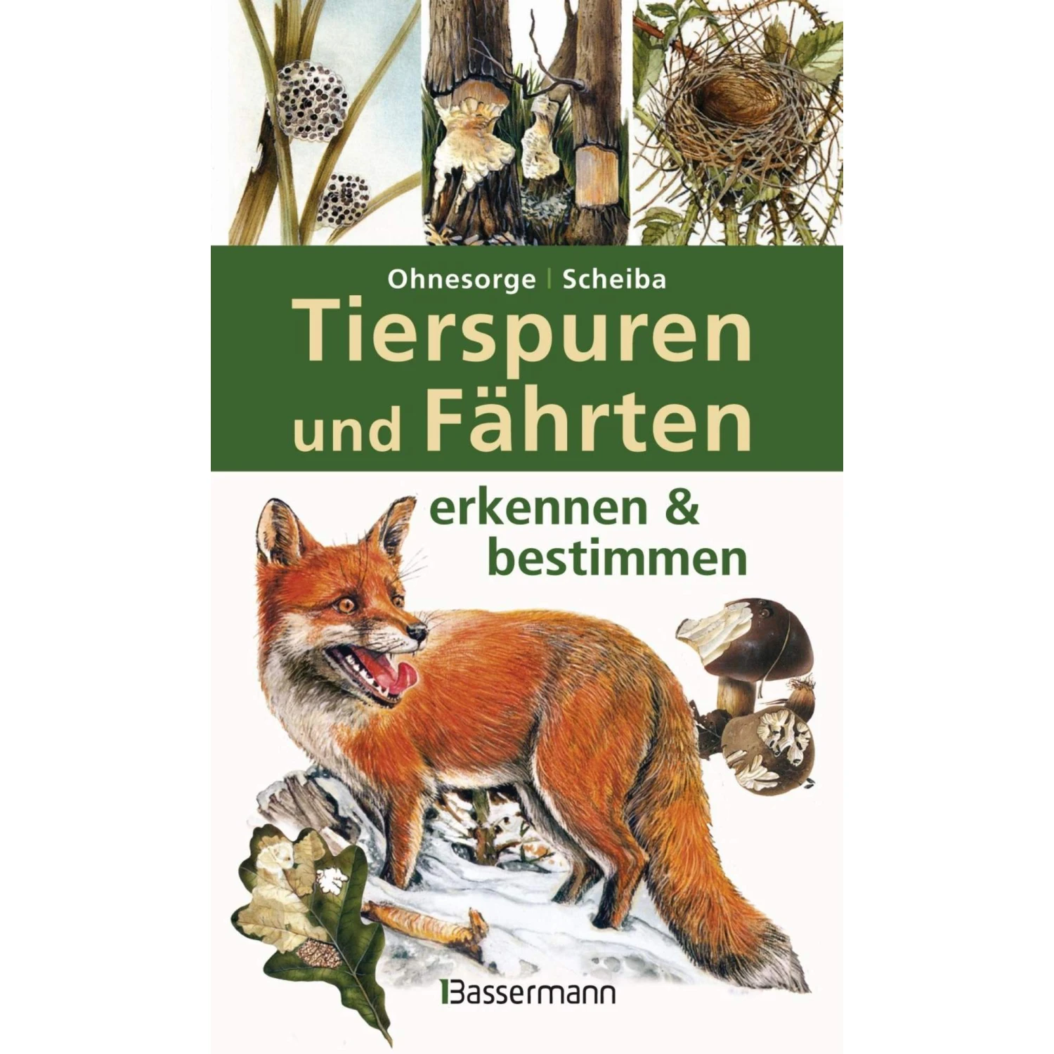Tierspuren Und Fährten Erkennen & Bestimmen - Ratgeber 3 Tierspuren Und Fährten Erkennen & Bestimmen - Ratgeber