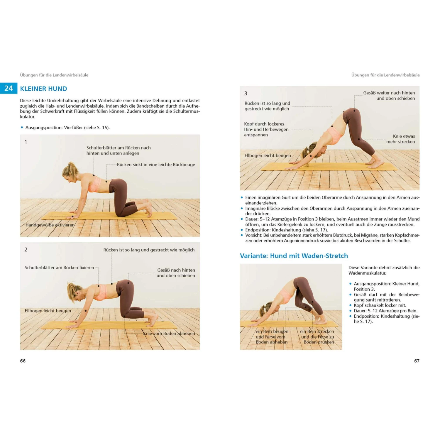 Yoga Für Kletterer Und Bergsportler - Klettertraining 5 Yoga Für Kletterer Und Bergsportler - Klettertraining – Bild 3