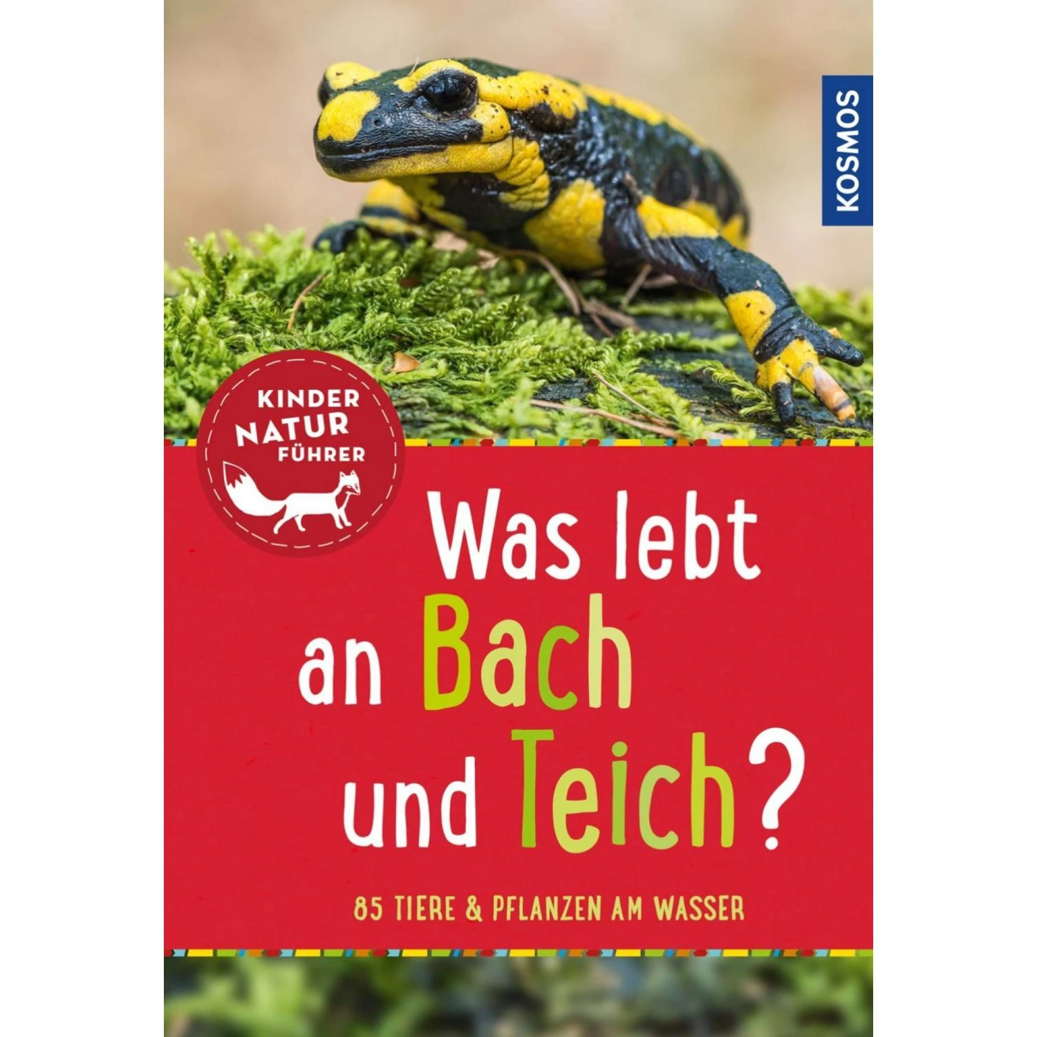 Was Lebt An Bach Und Teich? Kindernaturführer - Kinderbuch 3 Was Lebt An Bach Und Teich? Kindernaturführer - Kinderbuch
