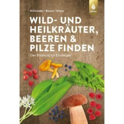 WILD- UND HEILKRÄUTER, BEEREN UND PILZE FINDEN - Ratgeber