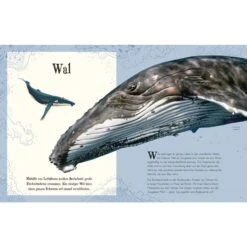 Wundervolle Welt Der Tiere - Kinderbuch -Sport Kleidung Welt 5637635167 c wundervolle welt der tiere 24