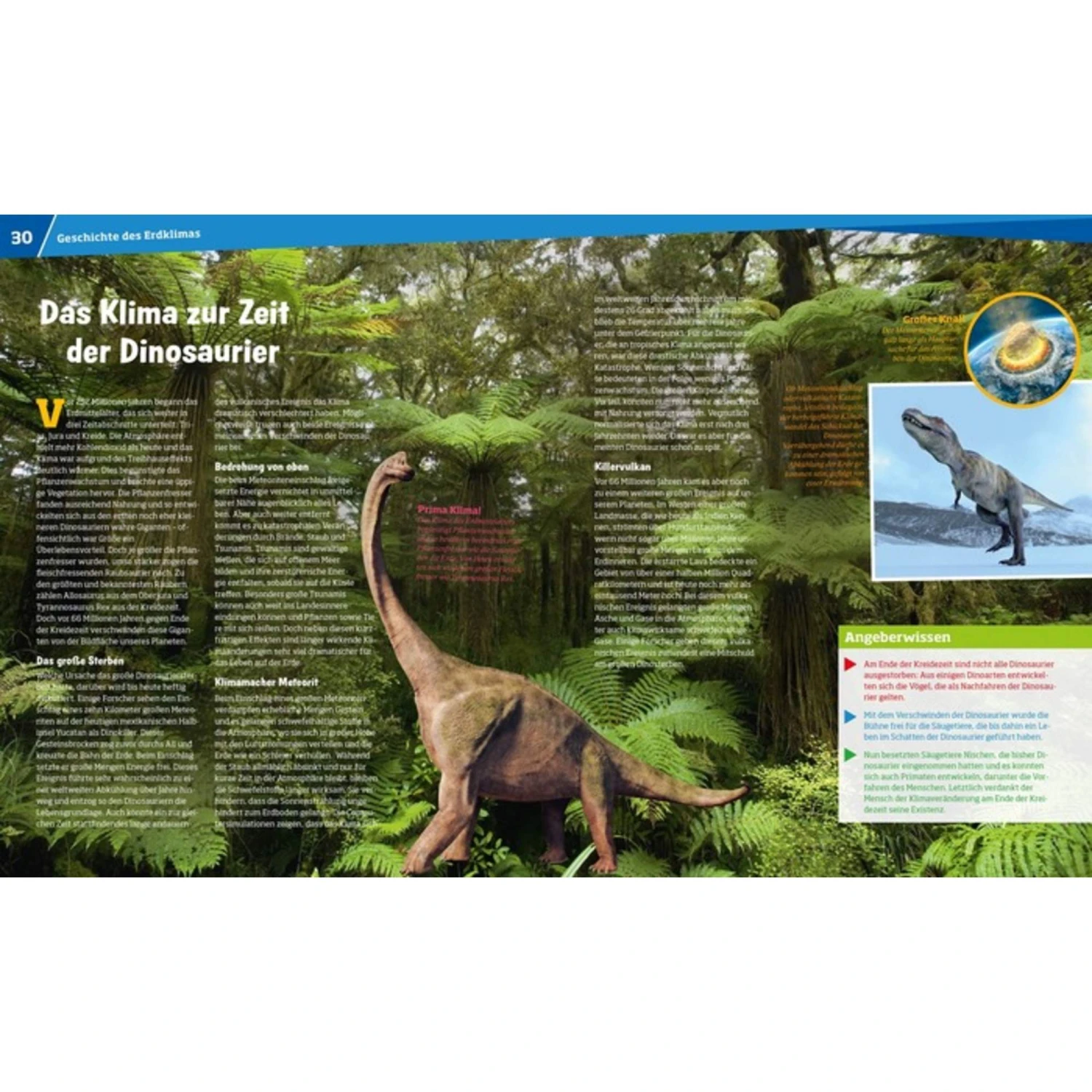 WAS IST WAS BAND 125. KLIMA - Kinderbuch 5 WAS IST WAS BAND 125. KLIMA - Kinderbuch – Bild 3