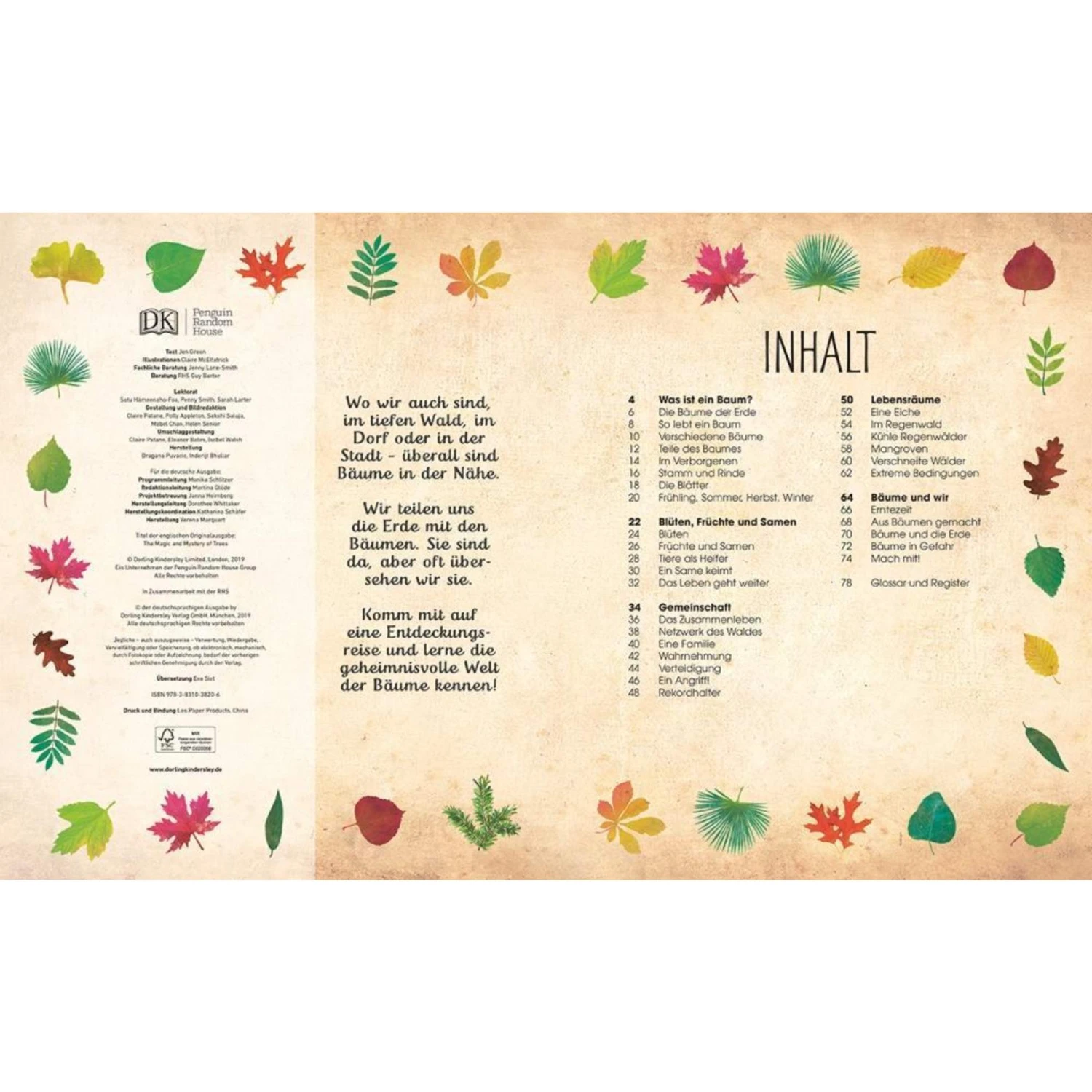 Bäume - Kinderbuch 4 Bäume - Kinderbuch – Bild 2