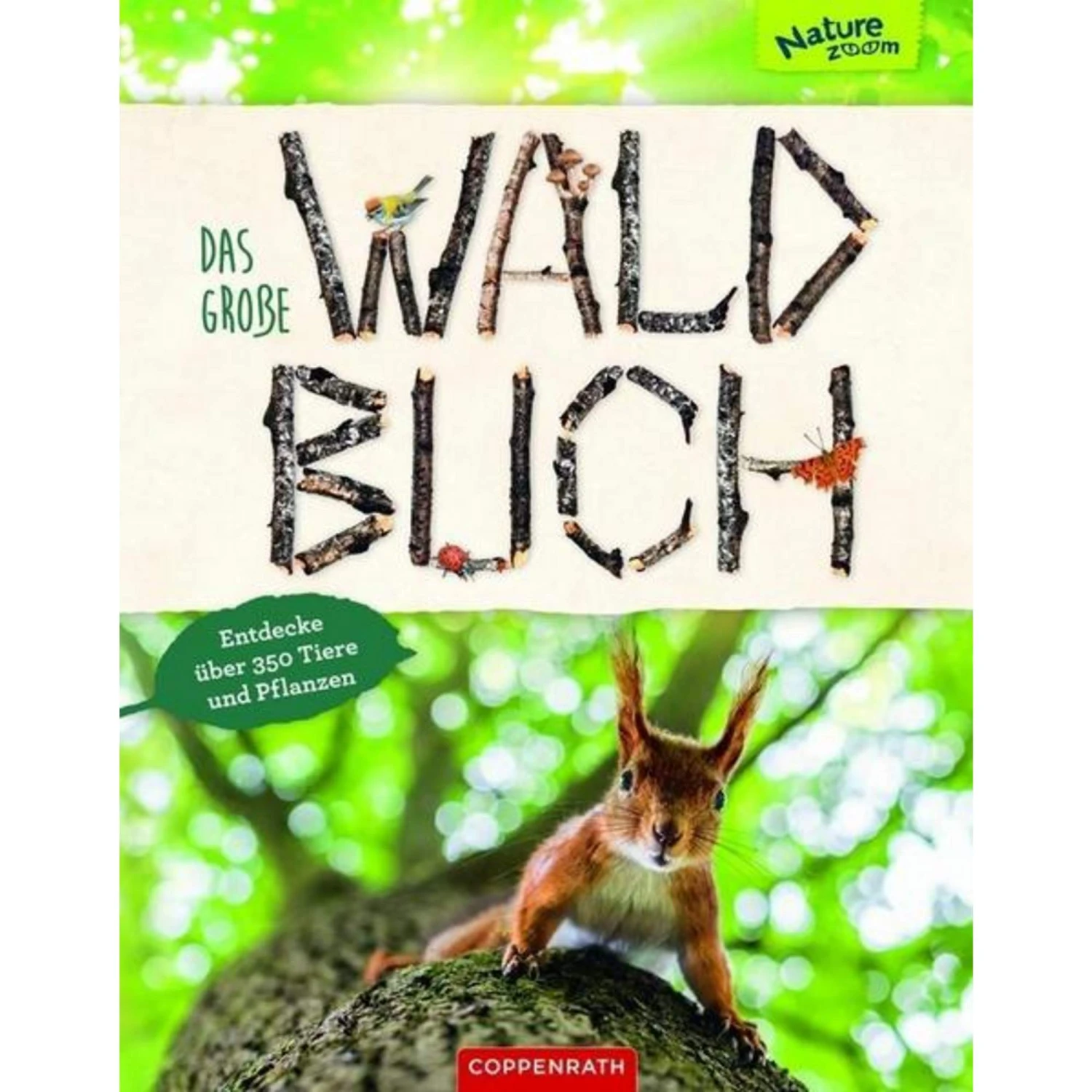 Das Große Waldbuch - Kinderbuch 3 Das Große Waldbuch - Kinderbuch