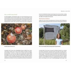 Wanderspaß Mit Kindern - Elbsandsteingebirge - Wanderführer -Sport Kleidung Welt 5637736926 c wanderspass mit kindern elbsandsteingebirge 24