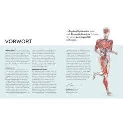 LAUFTRAINING - DIE ANATOMIE VERSTEHEN - Sportratgeber -Sport Kleidung Welt 5637865355 c lauftraining die anatomie verstehen 24