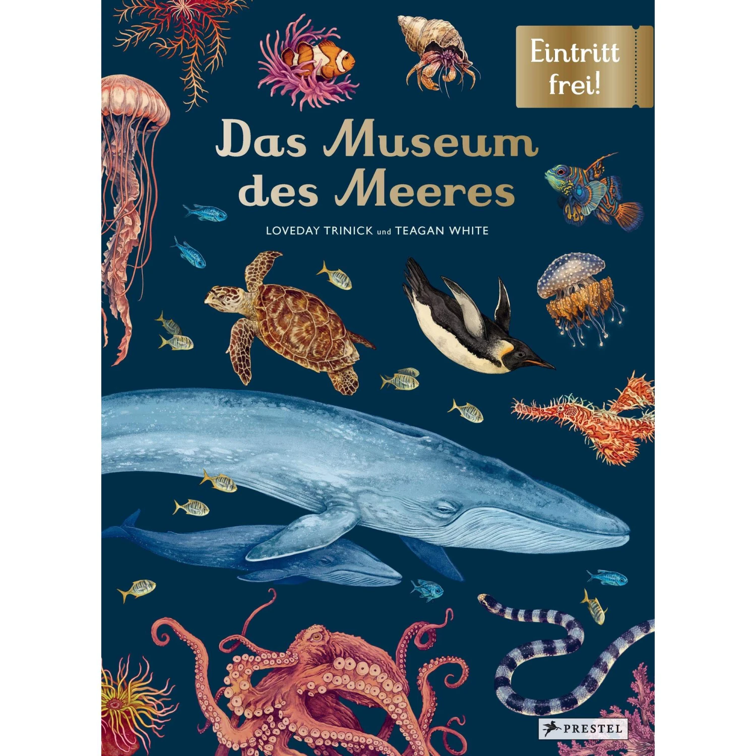 DAS MUSEUM DES MEERES - Kinderbuch 3 DAS MUSEUM DES MEERES - Kinderbuch