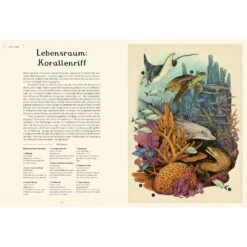 DAS MUSEUM DES MEERES - Kinderbuch 7 DAS MUSEUM DES MEERES - Kinderbuch -Sport Kleidung Welt 5637902896 c das museum des meeres 24