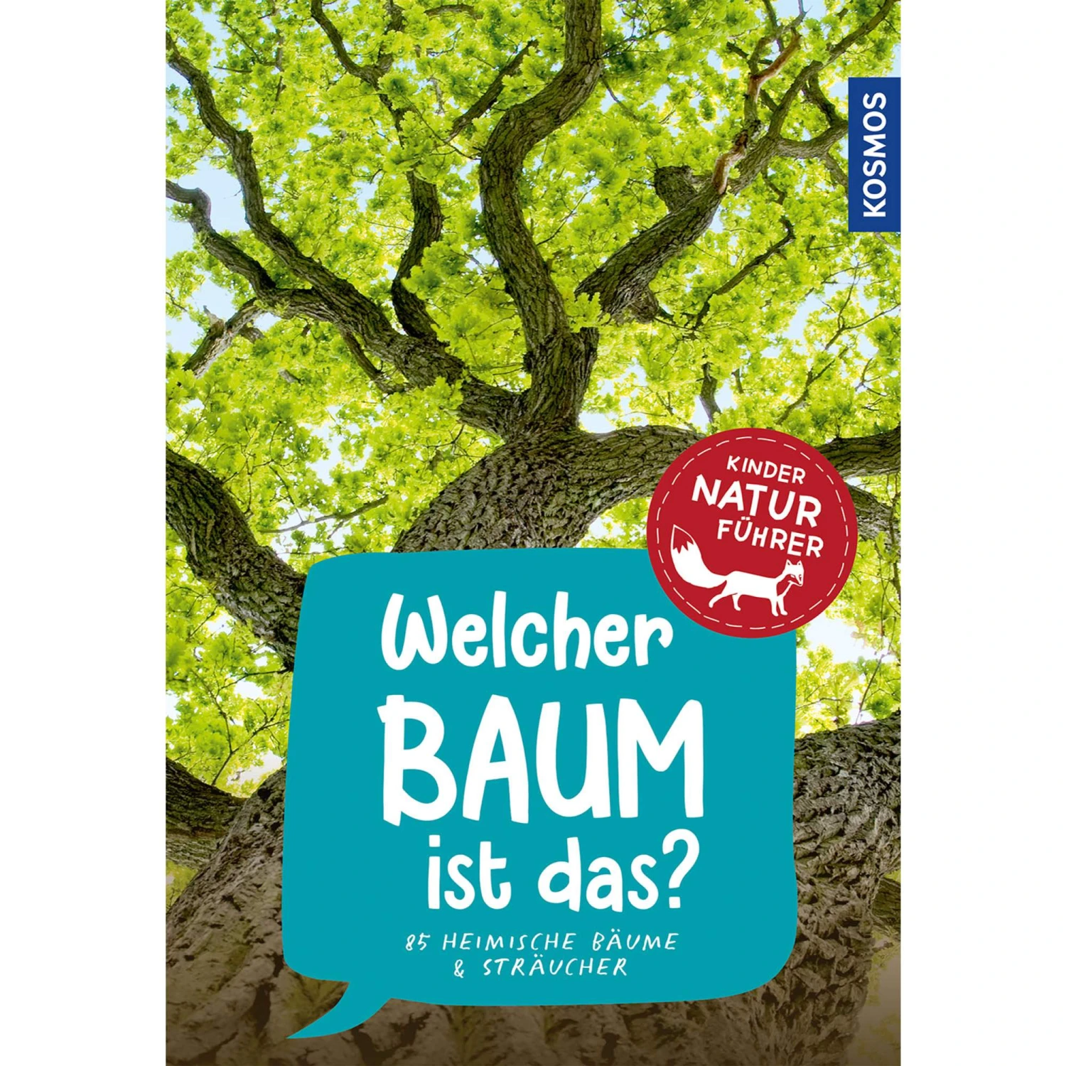 WELCHER BAUM IST DAS? KINDERNATURFÜHRER - Kinderbuch 3 WELCHER BAUM IST DAS? KINDERNATURFÜHRER - Kinderbuch