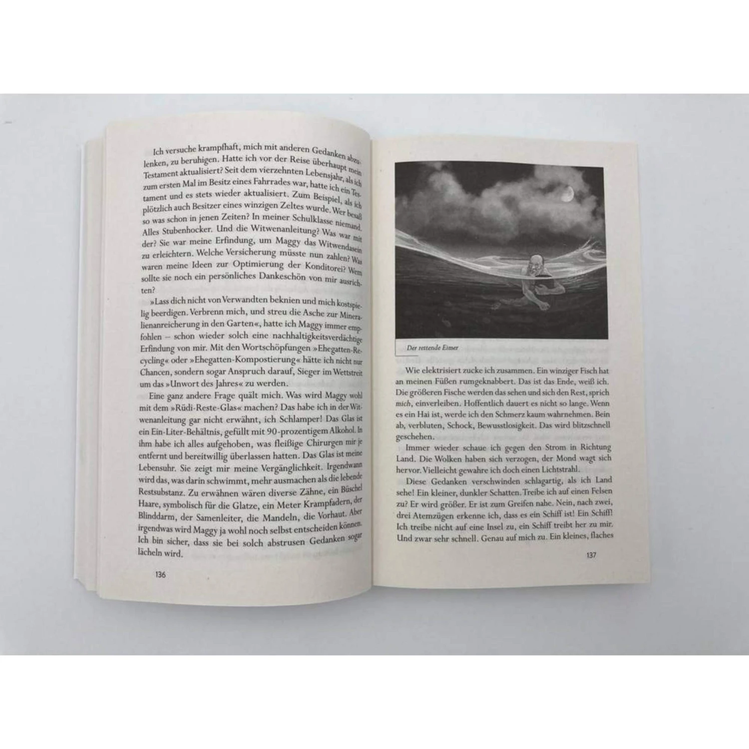 DEM MUT IST KEINE GEFAHR GEWACHSEN - Biografie 5 DEM MUT IST KEINE GEFAHR GEWACHSEN - Biografie – Bild 3