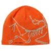 Arc'teryx BIRD HEAD TOQUE Unisex - Mütze -Sport Kleidung Welt 5638017048 a bird head toque arc teryx 24