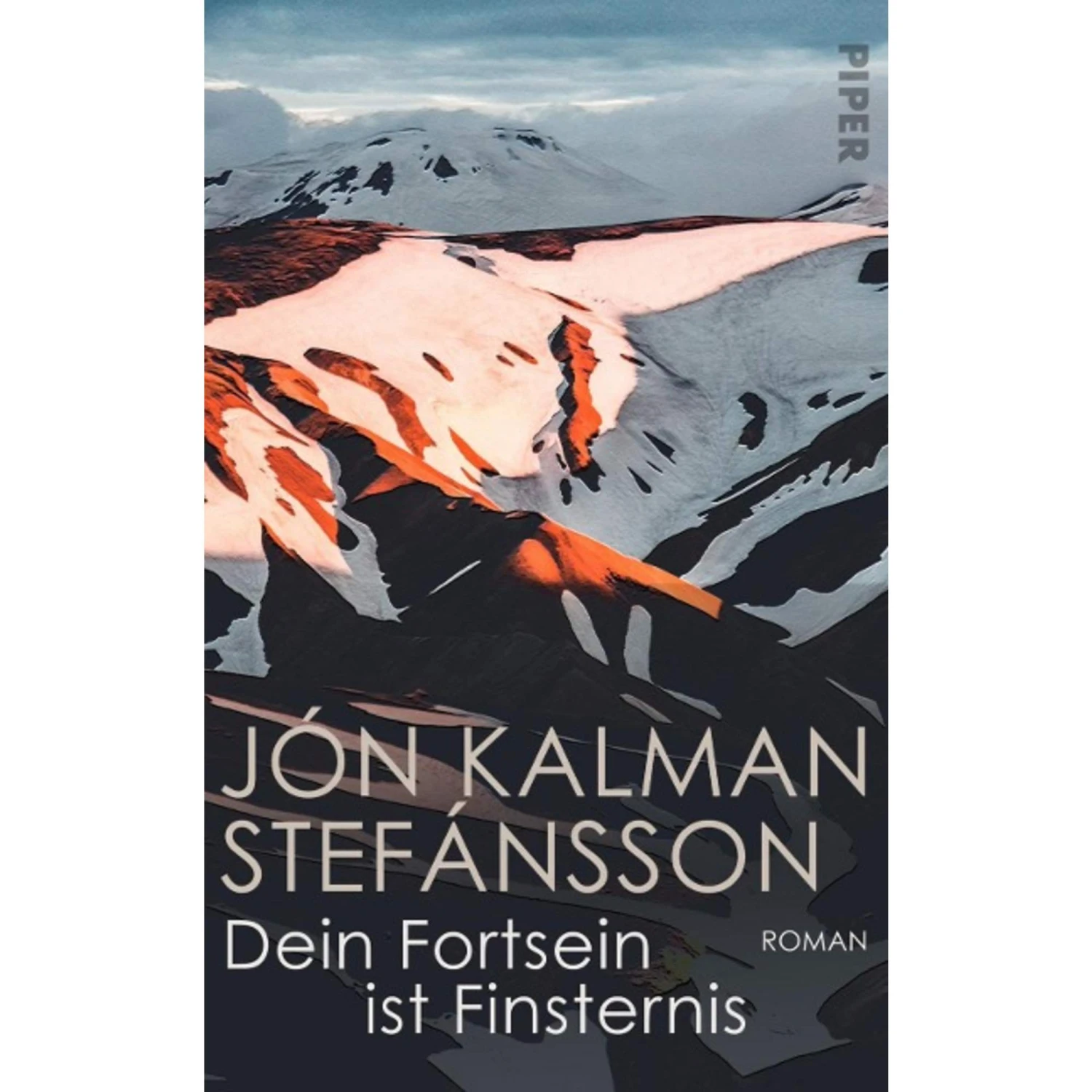 DEIN FORTSEIN IST FINSTERNIS - Roman 3 DEIN FORTSEIN IST FINSTERNIS - Roman